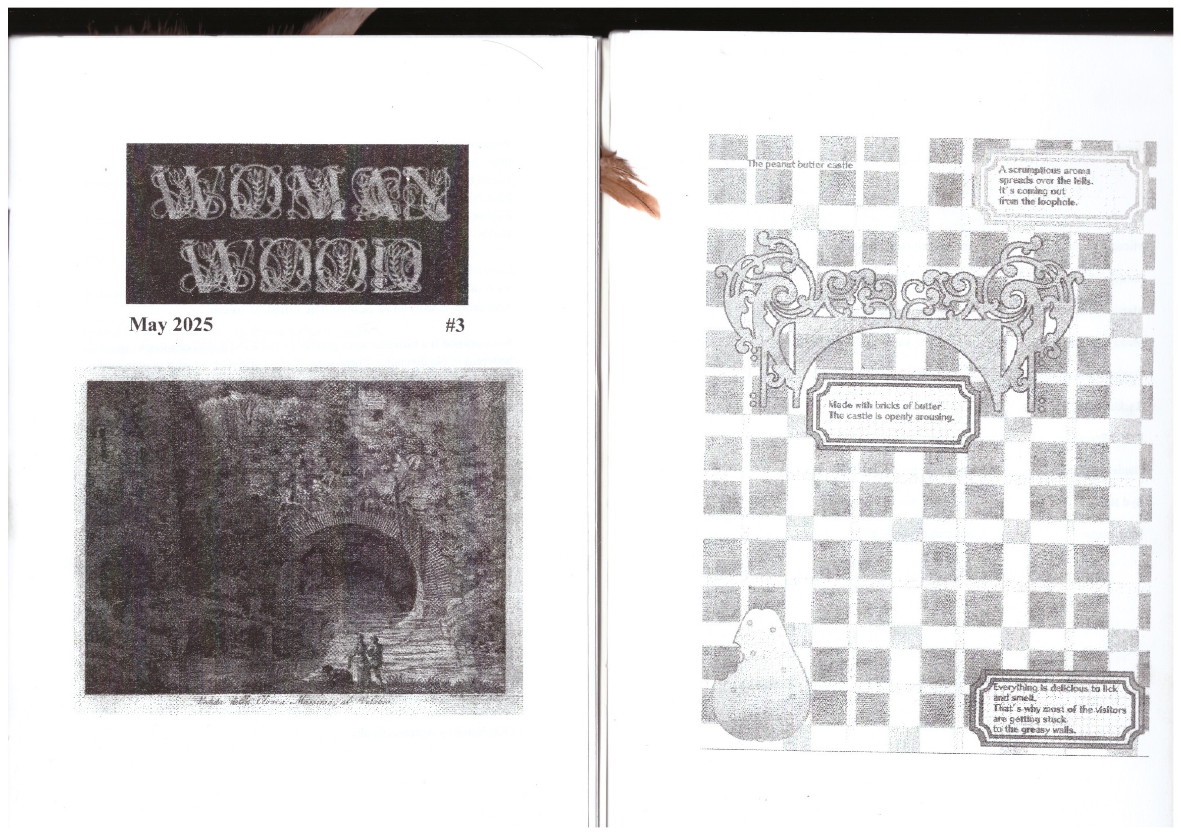 MONTI, a.; HONEYCUTT, Erin - WOMANWOOD #3